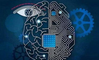 機(jī)器視覺(jué) 制造業(yè)智能化轉(zhuǎn)型的得力助手