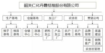 中擂品牌營(yíng)銷策劃案例 長(zhǎng)壩桔柚柚子水果市場(chǎng)營(yíng)銷策劃